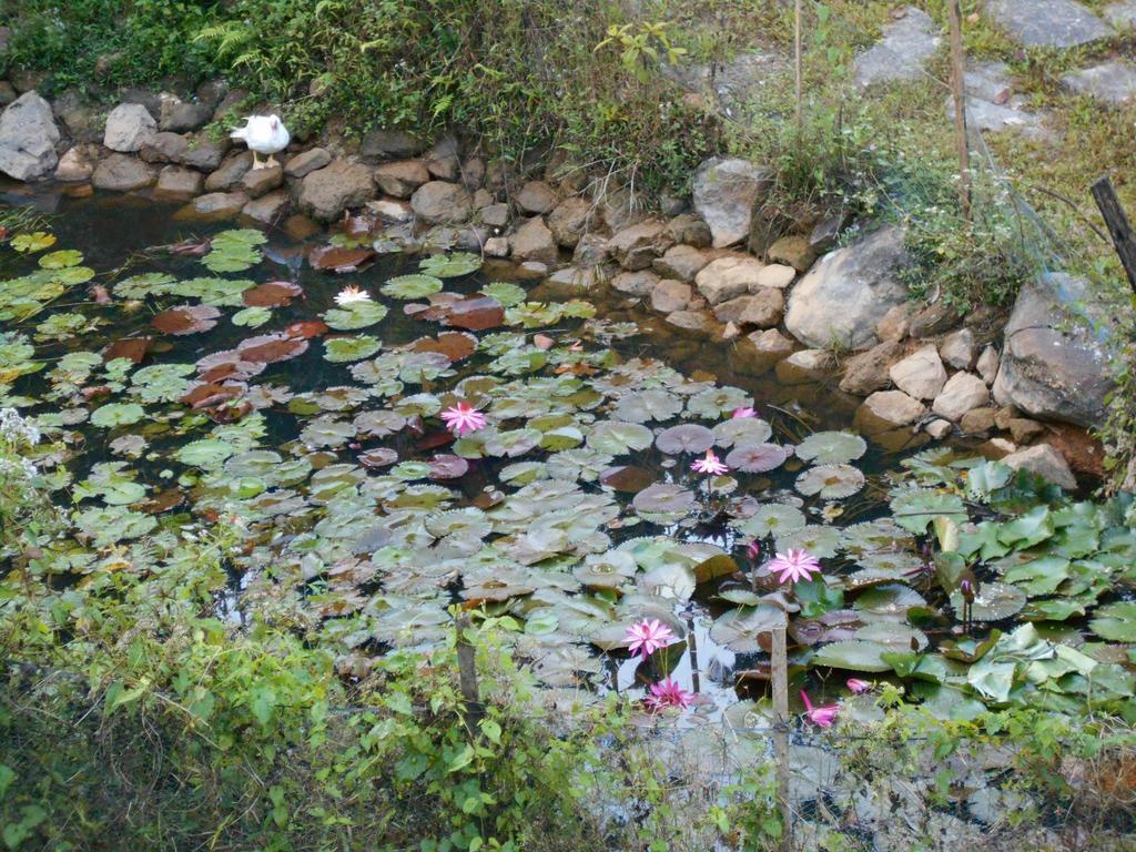 White Water Woods Resort Vythiri Zewnętrze zdjęcie